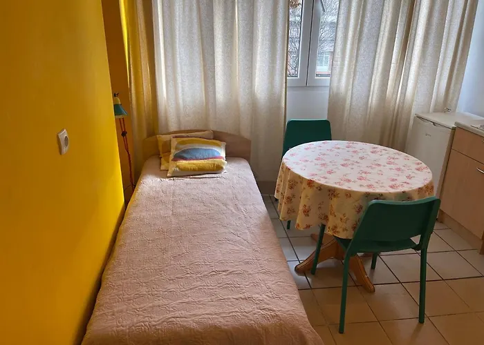 Cozy Place Renovated 2022 索菲亞